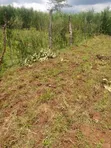 Prime Plot for Sale in Sigowet - 2