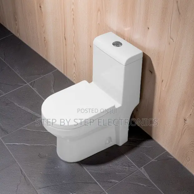 Sawa One Piece Dual Flush Toilet Seat - 1