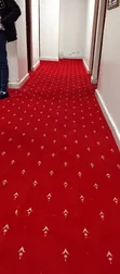 Carpet ya Ukutani ya Kifahari - Mpya Kabisa - 2