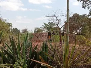 Sawasawa-Kamukunji Plot for Sale