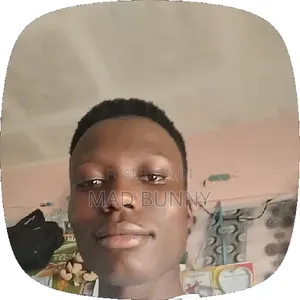 Samuel Ngure Mbatia - Full-Stack Developer & Systems Architect
