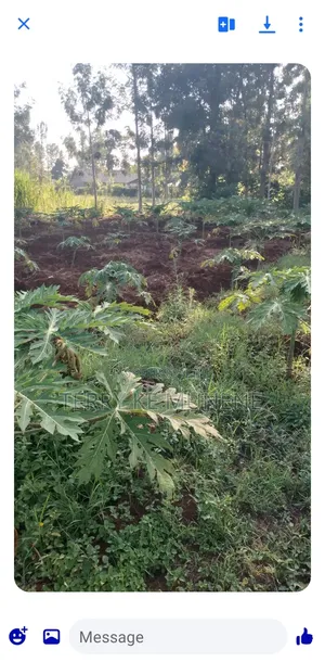 Fertile Land for Sale in Thiba