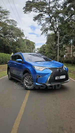 Toyota RAV4 2018 Blue