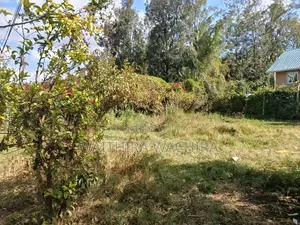 Ardhi ya Prime Inauzwa - Ololua, Ngong (1/8 Eka)