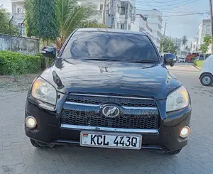 Toyota RAV4 2010 Nyeusi