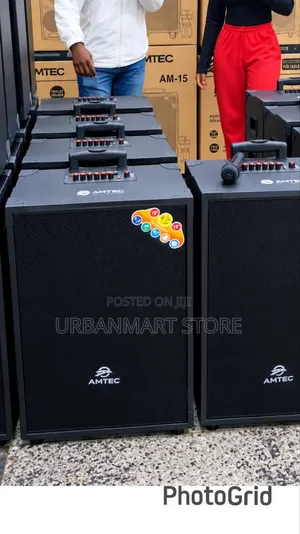 Amtec 15-Inch Trolley Speaker with 2 Wireless Microphones