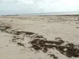 Eneo la Ekari 2.5 Galu Kinondo Linauzwa - 3