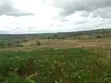 Eneo la Ekari 2.5 Galu Kinondo Linauzwa - 4