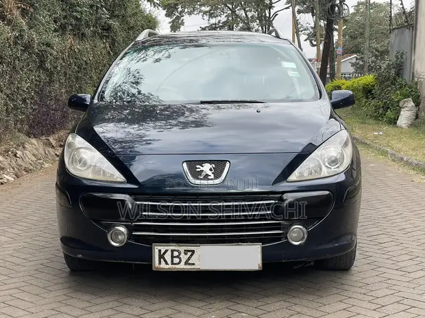 Peugeot 307 SW 2007 Blue - 1