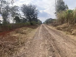 1/4 Acre Plot Mhasibu Twin Mount for Sale