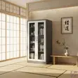 Two-Door Rust-Resistant Steel Glass Cabinet - 5