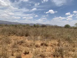 3 Acres Agricultural Land for Sale in Ewuaso Kedong