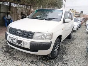 Toyota Probox 2009 Nyeupe