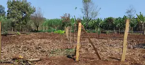 Viwanja 50x100 vya Uuzaji Karibu na Ichaweri, Gatundu South