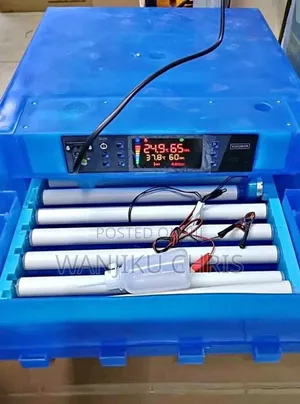Automatic Egg Incubator - 64 Egg Capacity
