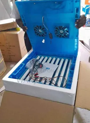 Mashine ya Kutotolesha Mayai Moja kwa Moja ya 64