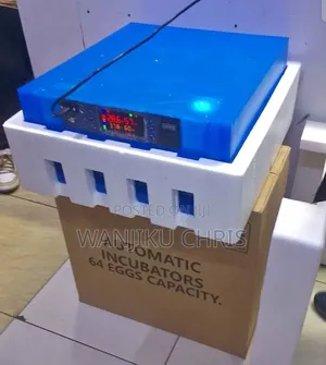 Incubator ya Mayai 64 ya Kujitegemea Kabisa AC/DC