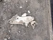 Nissan Sentra Sliding Door Roller Bracket - 1