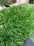 35mm Luxury Grass Turf - 1