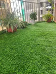 35mm Luxury Grass Turf - 2