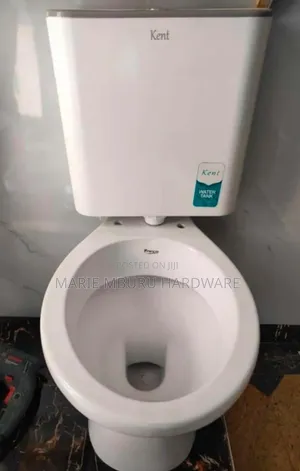 Premier Toilet Seat na Cistern ya Plastiki