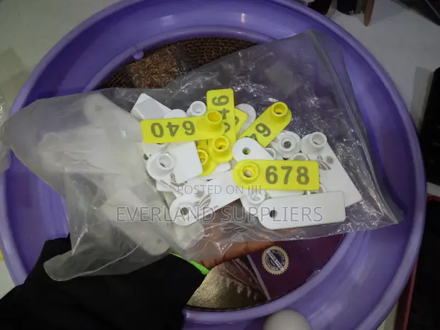 Everland Ear Tags - Strong Construction - 1