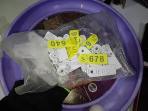 Everland Ear Tags - Strong Construction