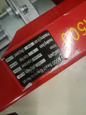 Electric Hoist Mpya 500 KGS