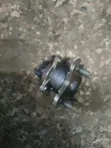 Ex-Japan Rear Hub for Toyota Passo - 2