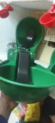 Heavy Duty Plastic Cow Drinker - 4