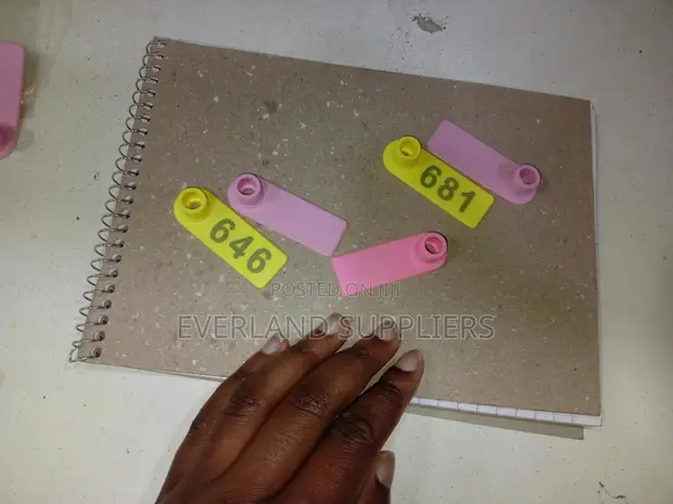 Ear Tags - Clear Number Display - 1