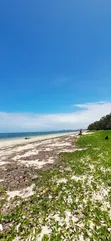 Eka 1 ya Ardhi ya Pwani Inauzwa, Bamburi Beach - 1