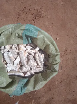 Cassava for Sale