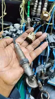 Sensor ya Oxygen kwa Nissan Sylphy - 2