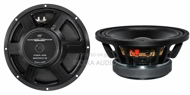 Eminence Naked Speaker 15" - 1