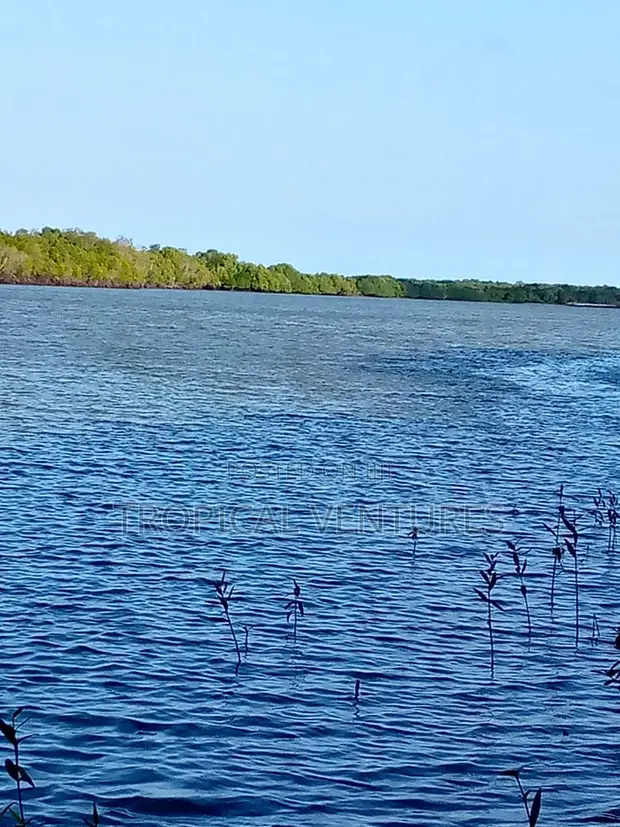 Ardhi ya Biashara Ufukweni kwa Uuzaji Shimoni - 1