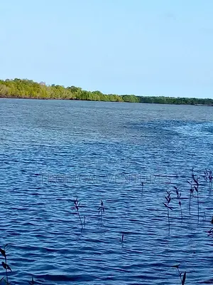 Ardhi ya Biashara Ufukweni kwa Uuzaji Shimoni