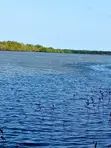 Ardhi ya Biashara Ufukweni kwa Uuzaji Shimoni - 1