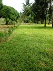 Ardhi ya Biashara Ufukweni kwa Uuzaji Shimoni - 4