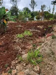 Eneo la 1 Acre Muthiga Gatundu kwa Uuzaji - 2