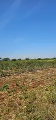 Eka 7 Barabara ya Meru-Ruiri-Isiolo, Timau - 2