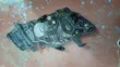 Honda Step Wagon 2012 Xenon Headlight - 2