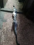 Mazda Atenza Steering Rack - Ex Japan - 1