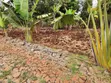 Eko 1.5 Eka Gatundu - 2