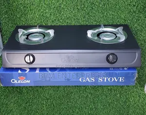 Olelon 2-Burner Steel Gas Stove
