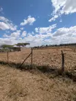 Quarter Acre Residential Land for Sale in Kabarak - 1