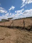 Quarter Acre Residential Land for Sale in Kabarak - 2