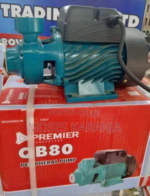 Premier QB80 1HP Pump ya Kuongeza Maji yenye Shinikizo la Juu