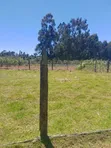 Eneo la 1/2 Acre Linauzwa, Magumu - 2