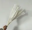 Dried Mini Pampas Grass (10pcs) - 1